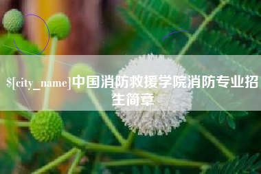 鞍山中国消防救援学院消防专业招生简章
