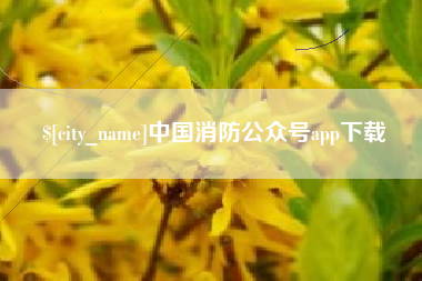 鞍山中国消防公众号app下载