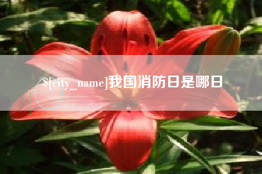 鞍山我国消防日是哪日