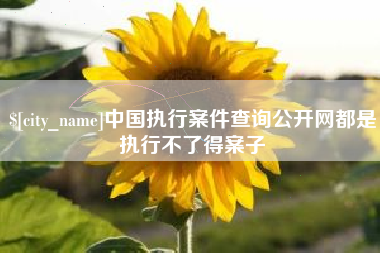 鞍山中国执行案件查询公开网都是执行不了得案子