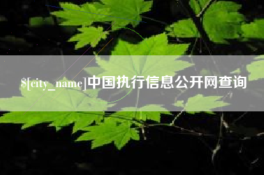鞍山中国执行信息公开网查询