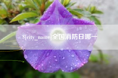 鞍山全国消防日哪一