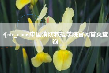 鞍山中国消防救援学院官网首页查询