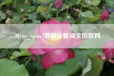 鞍山消防证查询全国联网