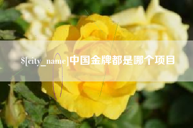 鞍山中国金牌都是哪个项目