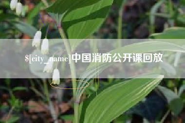 鞍山中国消防公开课回放