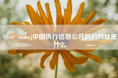 鞍山中国执行信息公开网的网址是什么