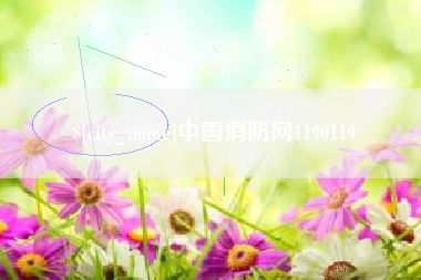 鞍山中国消防网1190119