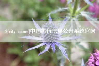 鞍山中国执行信息公开系统官网