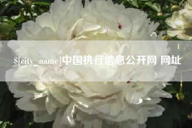 鞍山中国执行信息公开网 网址