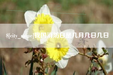 鞍山我国消防日是几月几日几日