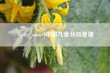 鞍山中国九金分别是谁