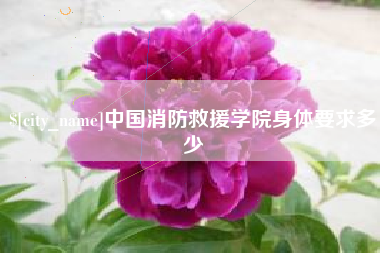 鞍山中国消防救援学院身体要求多少