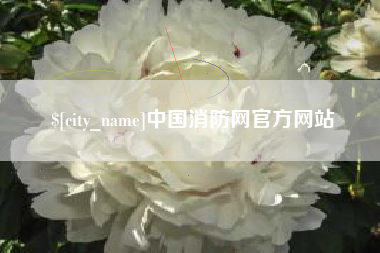 鞍山中国消防网官方网站