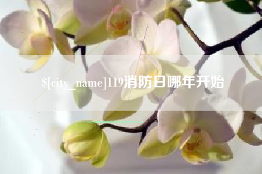 鞍山119消防日哪年开始