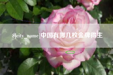 鞍山中国有哪几枚金牌得主