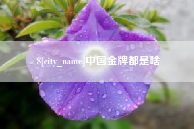 鞍山中国金牌都是啥