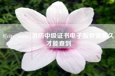 鞍山消防中级证书电子版查询多久才能查到