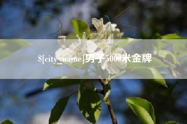鞍山男子5000米金牌