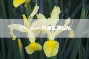 鞍山中国金牌包括