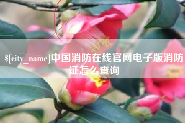 鞍山中国消防在线官网电子版消防证怎么查询