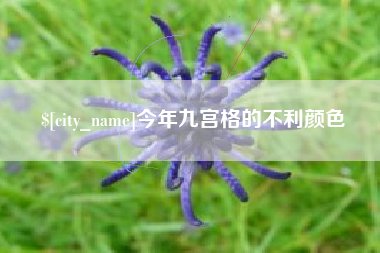 鞍山今年九宫格的不利颜色