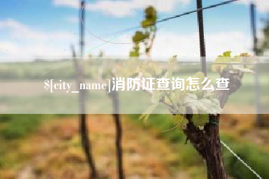 鞍山消防证查询怎么查