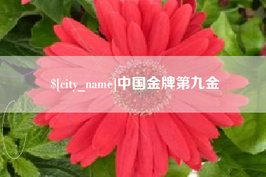 鞍山中国金牌第九金