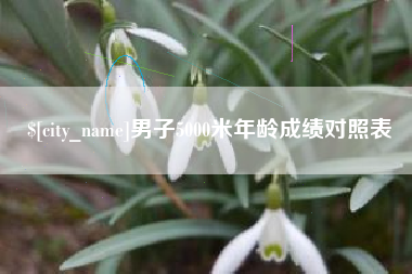 鞍山男子5000米年龄成绩对照表