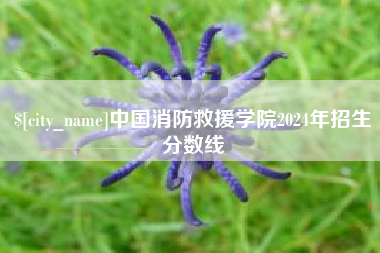 鞍山中国消防救援学院2024年招生分数线