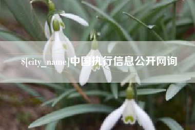 鞍山中国执行信息公开网询