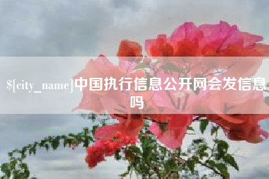 鞍山中国执行信息公开网会发信息吗