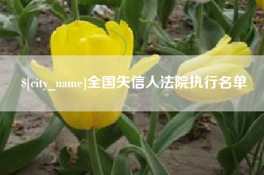 鞍山全国失信人法院执行名单