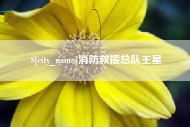 鞍山消防救援总队王星