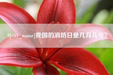 鞍山我国的消防日是几月几号？
