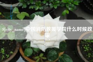 鞍山中国消防救援学院什么时候政审