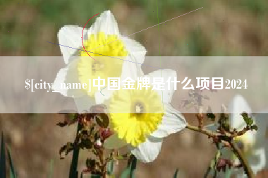 鞍山中国金牌是什么项目2024