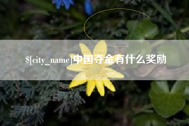 鞍山中国夺金有什么奖励