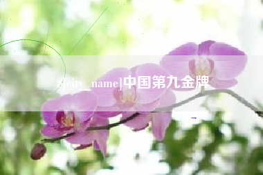鞍山中国第九金牌