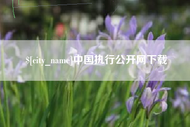 鞍山中国执行公开网下载