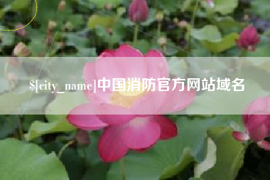 鞍山中国消防官方网站域名
