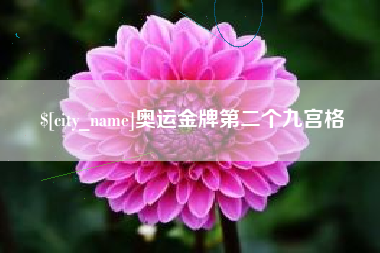 鞍山奥运金牌第二个九宫格