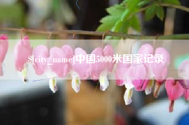 鞍山中国5000米国家记录