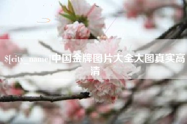 鞍山中国金牌图片大全大图真实高清