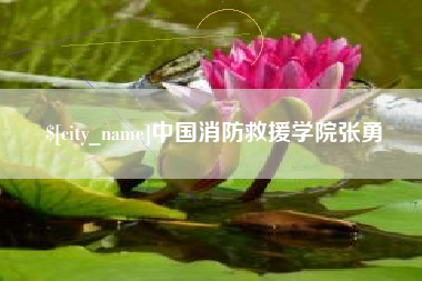 鞍山中国消防救援学院张勇