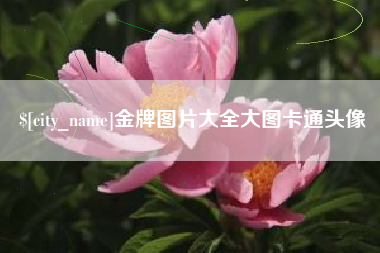 鞍山金牌图片大全大图卡通头像